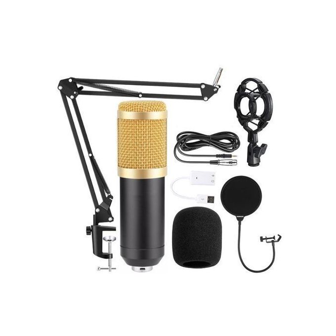 BM 800 Professional Studio Condenser Microphone - Wired 3.5mm Microphone for Radio Broadcasting and Vocals with Mic Stand