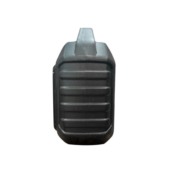 BS16 Fussion FM Radio Speaker with Media Player