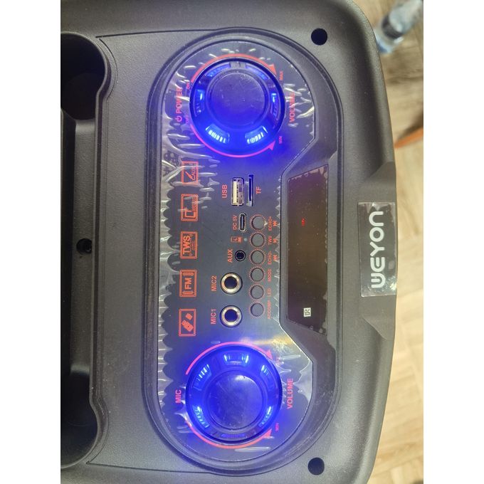 WEYON Black Portable LED Bluetooth Karaoke Microphone Speaker with RGB Lights and Subwoofer – Model 836