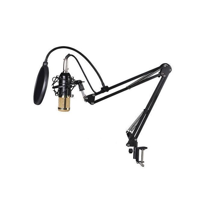 BM800 Studio Live Professional Suspension Microphone Kit