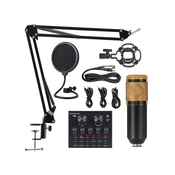 BM800 Professional Microphone Kit with V8 Sound Card and Suspension Mount