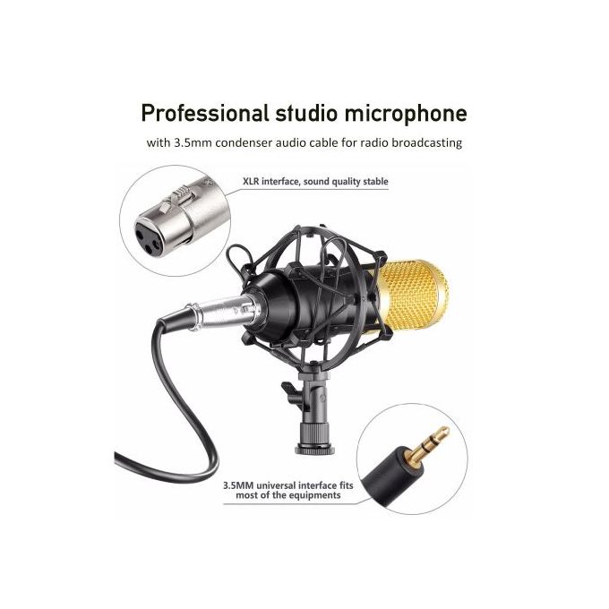 Complete Studio Microphone Bundle with Sound Card and Condenser Stand