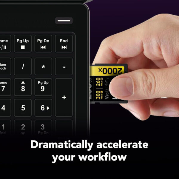 Lexar Professional 256GB 2000X SDHC UHS-II Memory Card – Up to 300MB/s Read Speed and 260MB/s Write Speed, C10 V90 U3