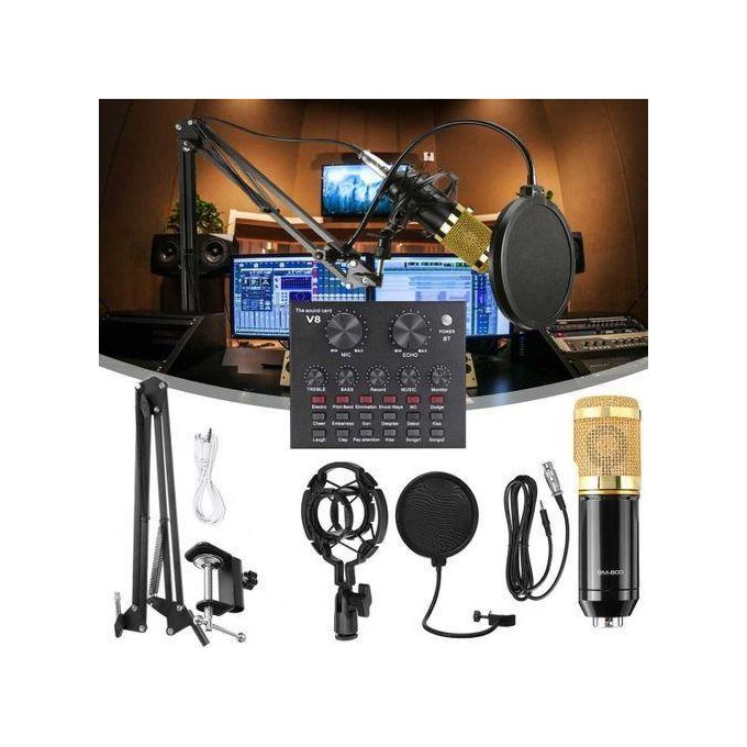 BM800 Condenser Microphone Kit with V8 Sound Card
