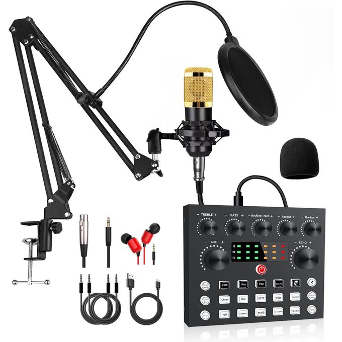 BM800 Studio Microphone and V8S Audio Interface Bundle – Live Sound Kit for Podcasting, Karaoke, Mobile, and PC