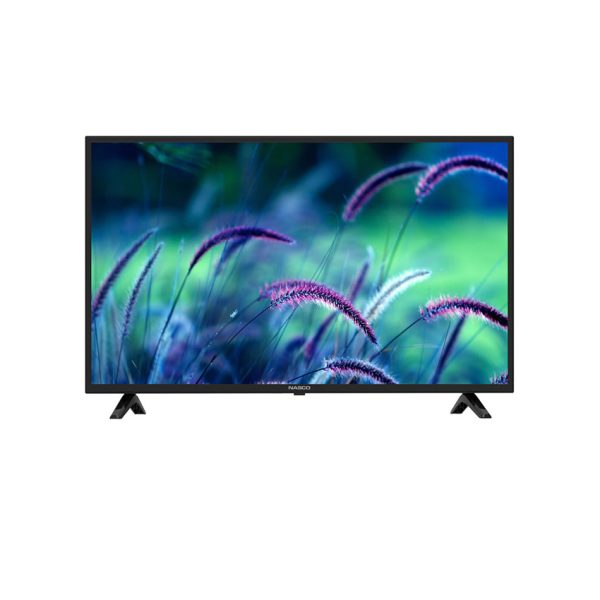 Nasco 43-Inch Satellite Television
