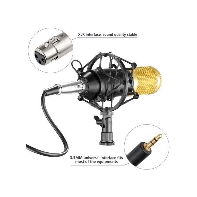 Genetic BM800 Condenser Microphone with V8 Sound Card – Black and Gold