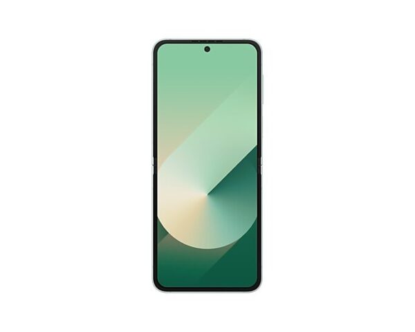 Samsung Galaxy Flip 6 Smartphone