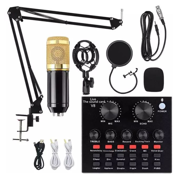 Gold BM 800 Professional Condenser Microphone with V8 Sound Card
