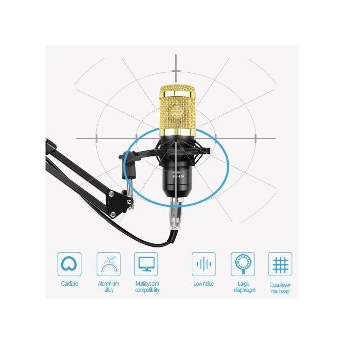 Genetic BM800 Condenser Microphone with V8 Sound Card – Black and Gold