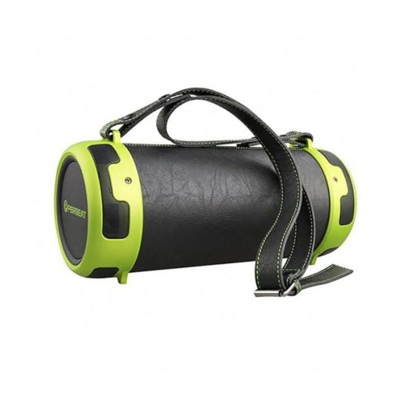 PBS29 Portable Bluetooth Speaker