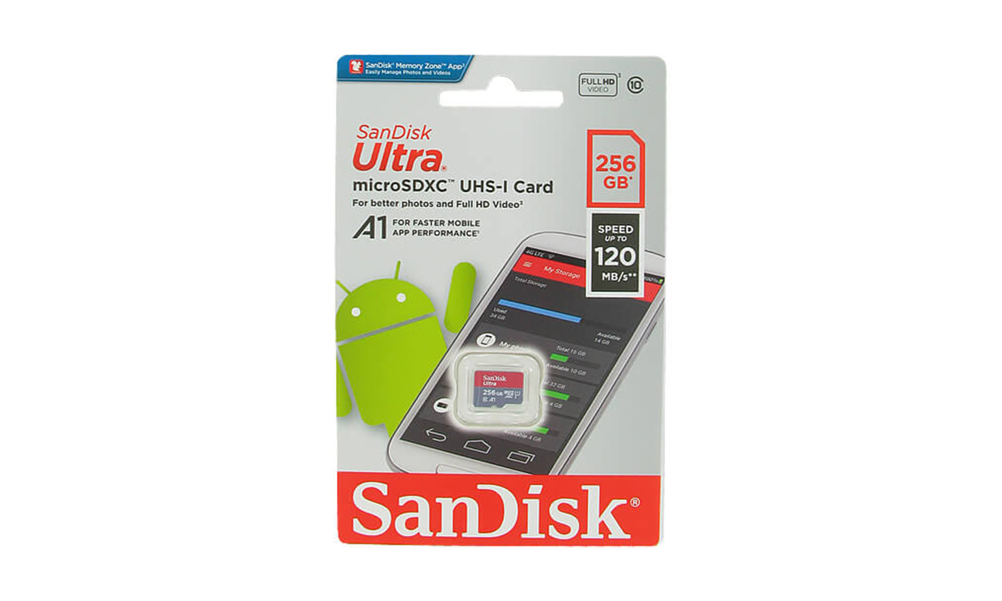 256GB Micro SD Card by Sandisk