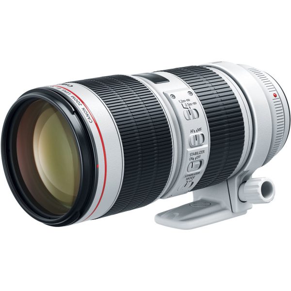 Canon EF 70-200mm f/2.8L IS III USM Zoom Lens